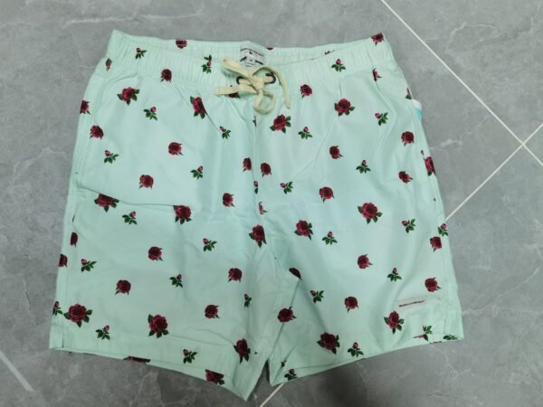 WLSW-2521
